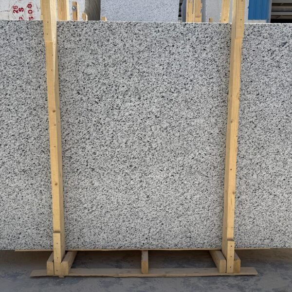 IMG 20260617 WA0061 600x600